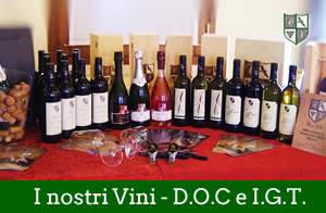 vini di produzione propria casa villi