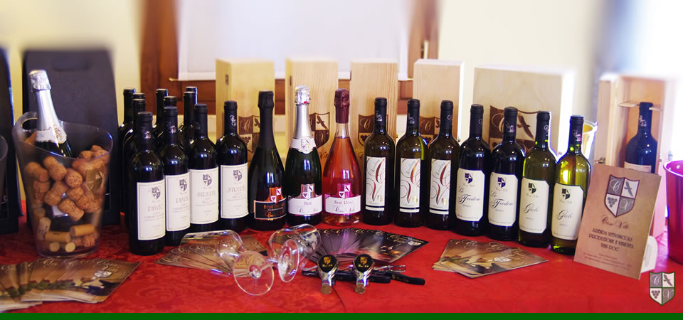 vini azienda vitivinicola casa villi